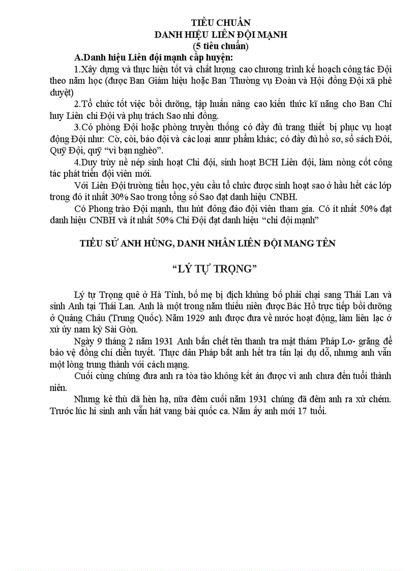 image for page Sổ kế hoạch Liên đội mới 2010 2011