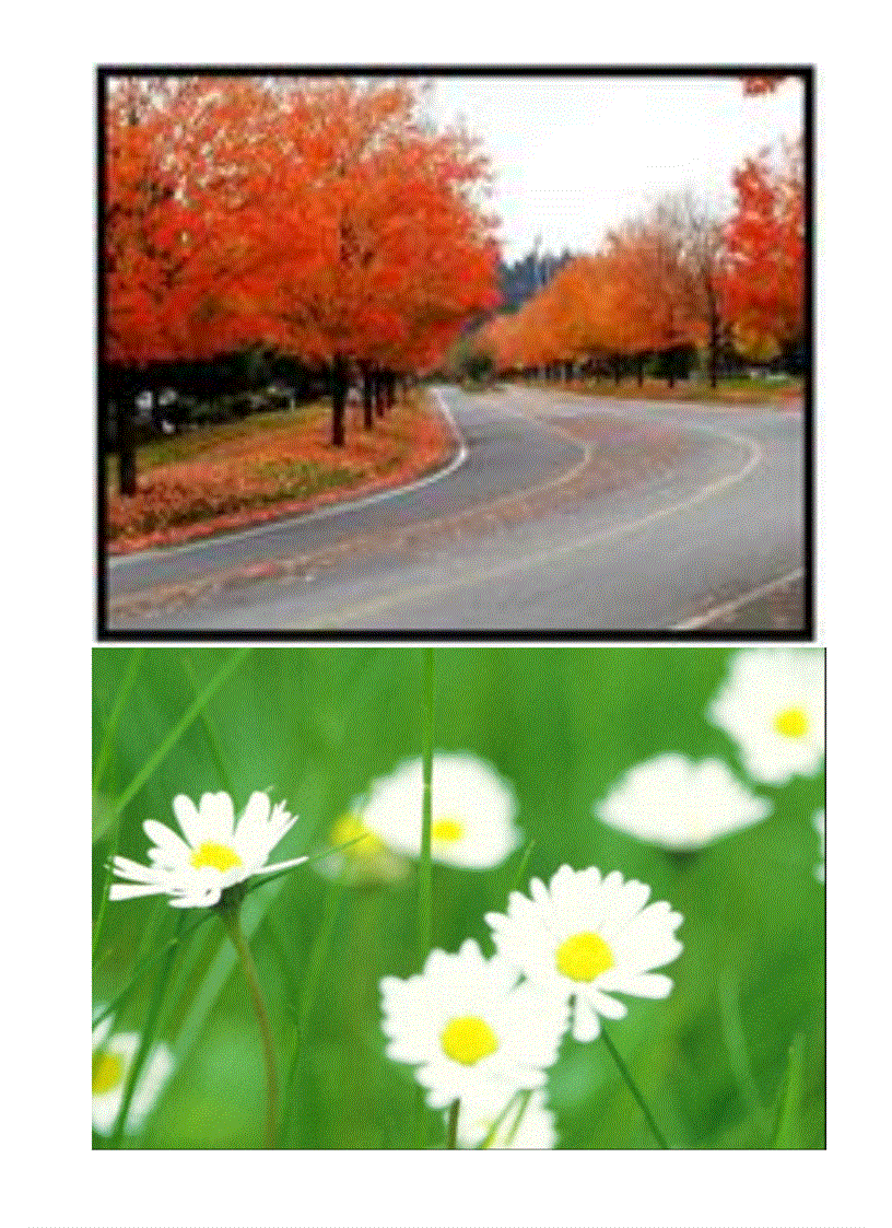 image for page Thế giới thiên nhiên