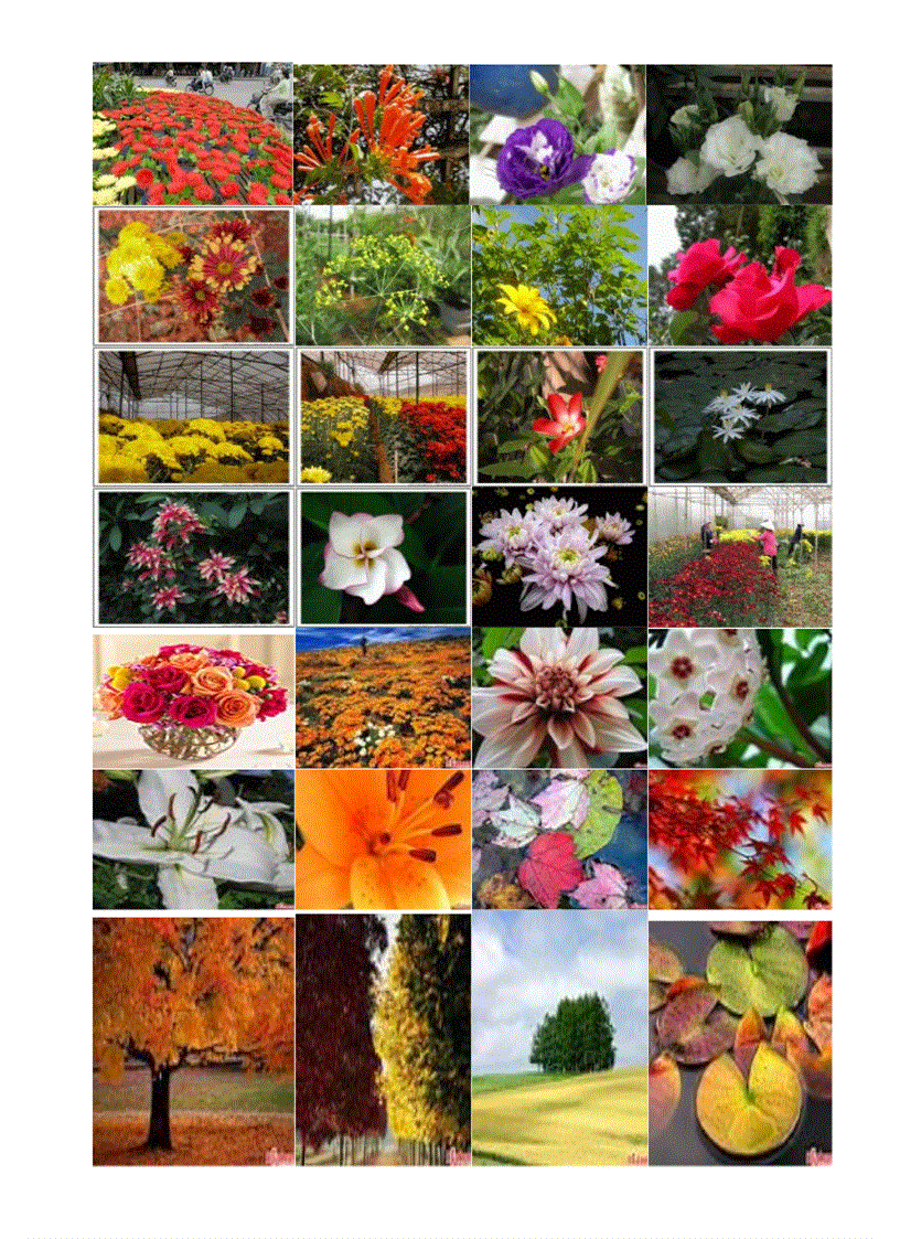 image for page Thế giới thiên nhiên