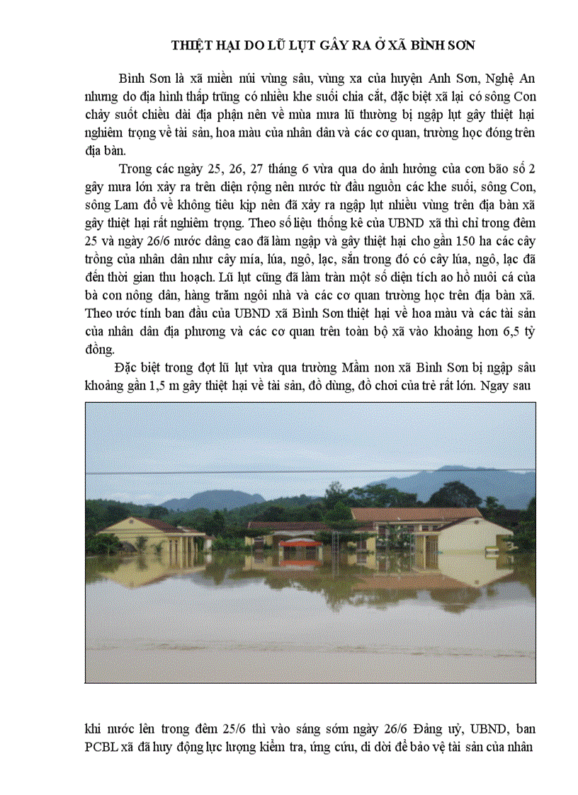 Thiệt hại do lũ lụt gây ra ở Bình Sơn