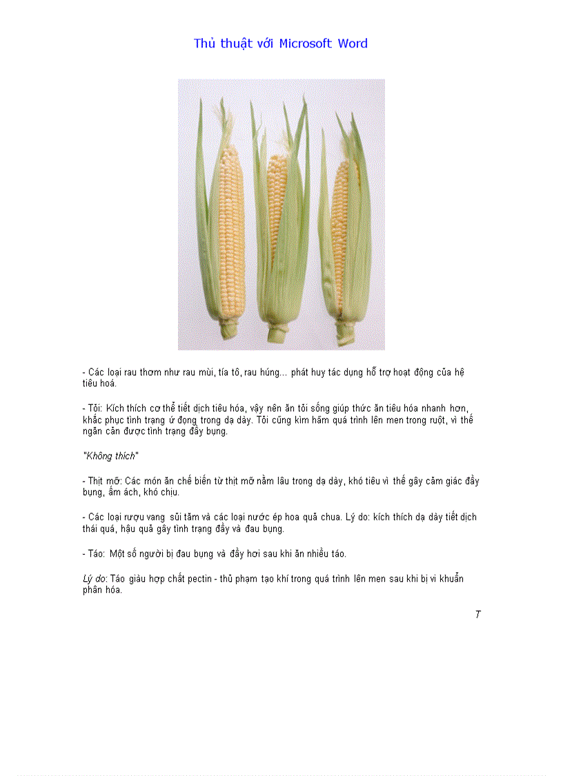 image for page Thu thuat may tinh