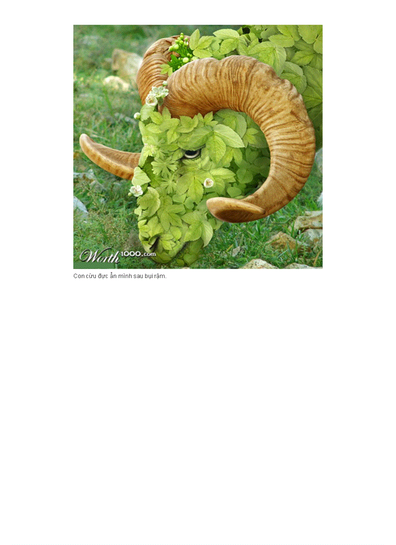 image for page Thực vật cấy ghép với động vật