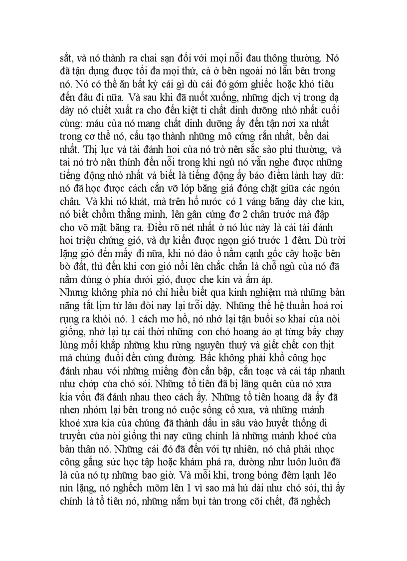 image for page Tieng goi noi hoang da 2