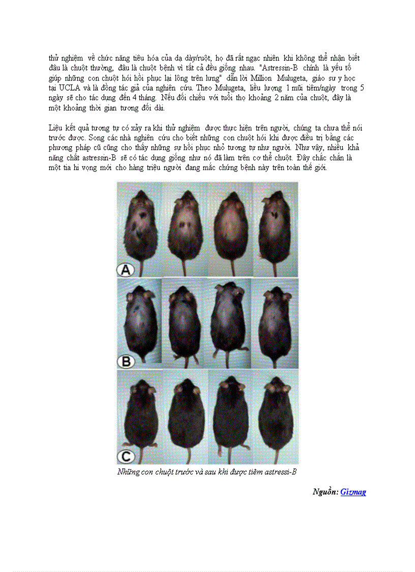 image for page Tìm ra cách trị bệnh rụng tóc