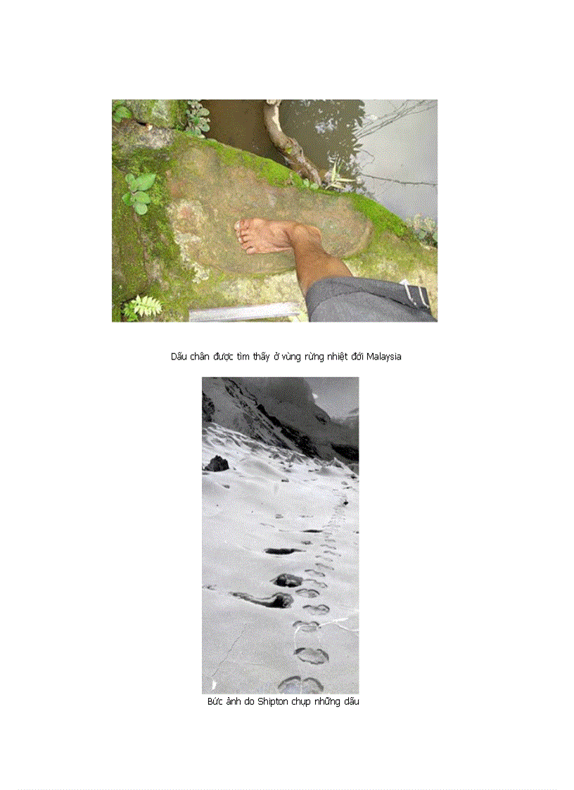 image for page Tìm sự thật về Người Tuyết huyền thoại