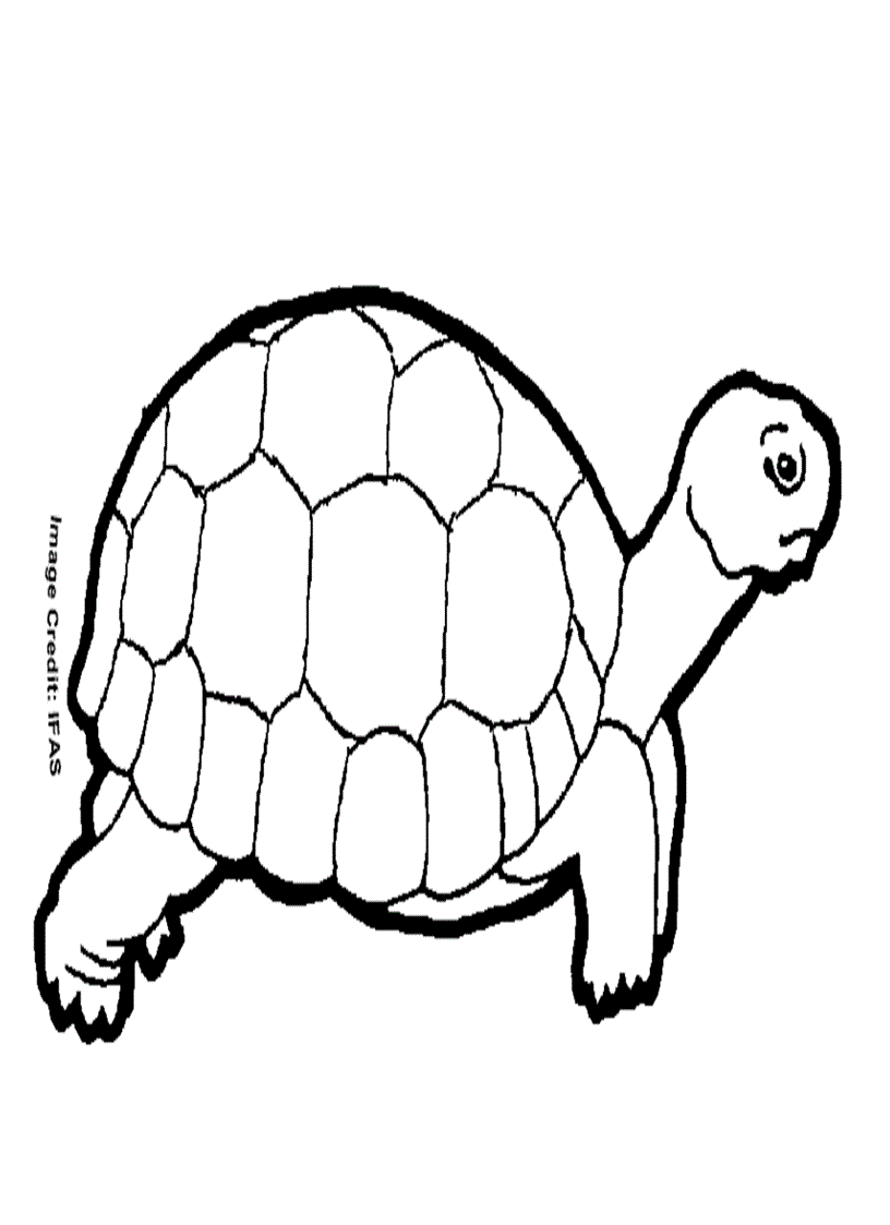 image for page Tranh cho bé tập tô màu