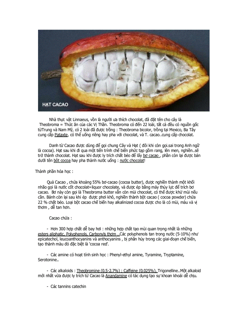 image for page Tu dien thao duoc hoc