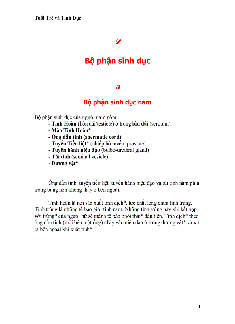 image for page Tuổi trẻ và tình dục