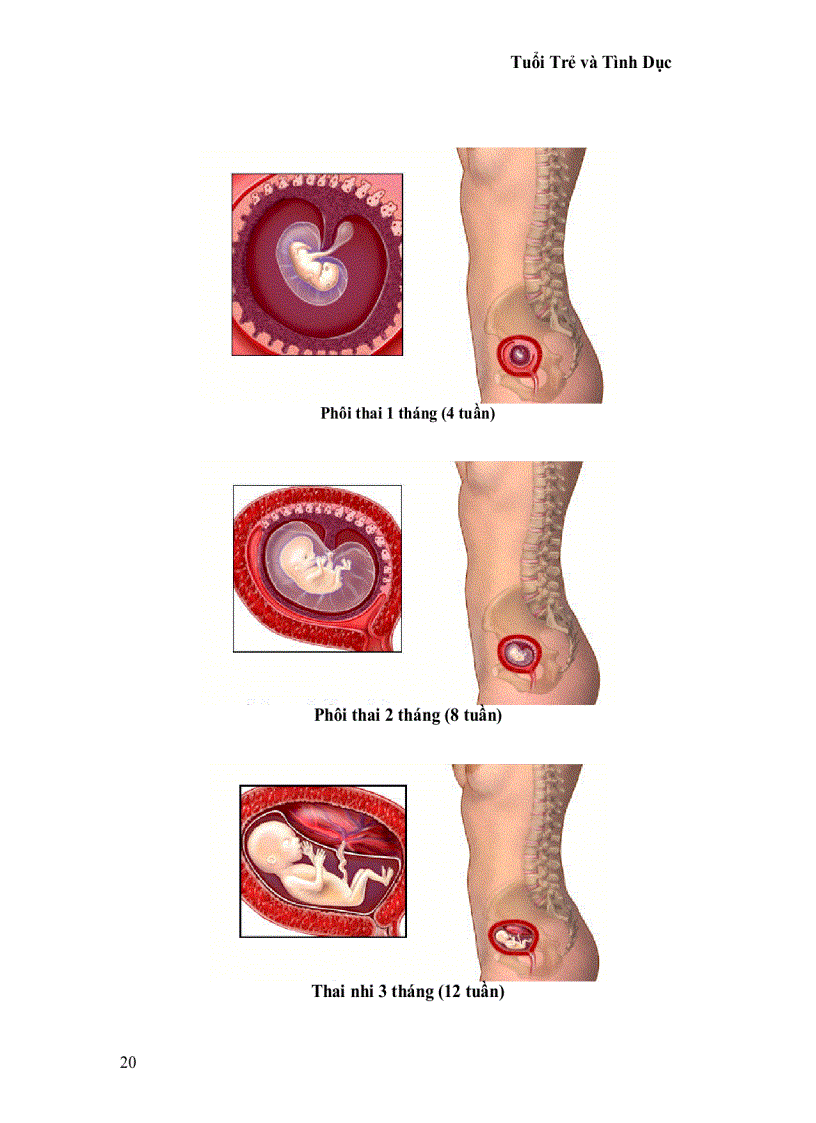 image for page Tuổi trẻ và tình dục