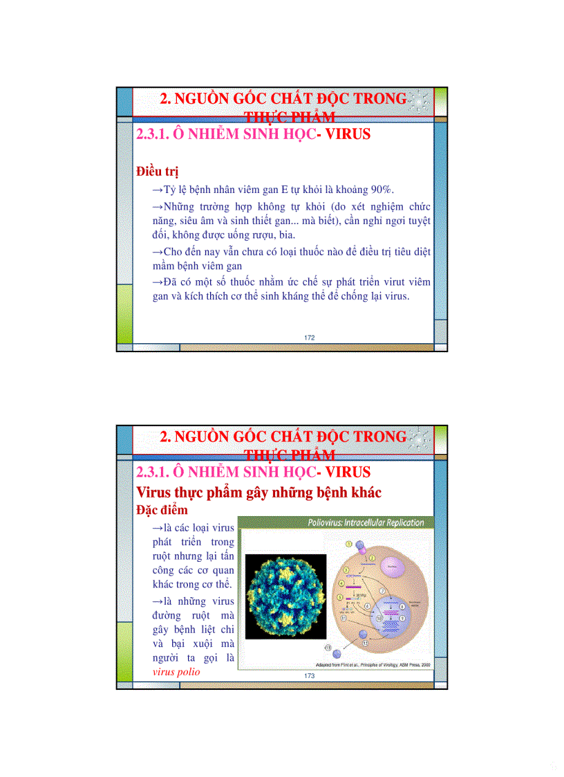 image for page Ve sinh an toan thuc pham bai giang buoi 4