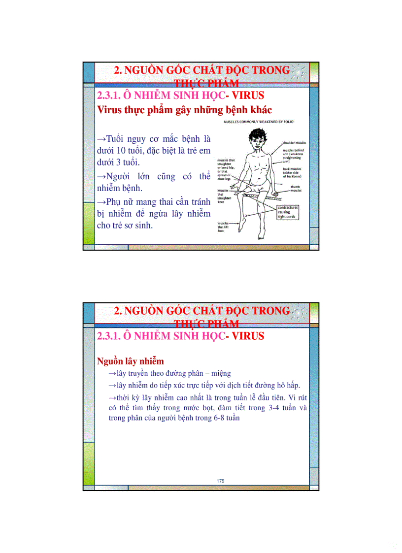 image for page Ve sinh an toan thuc pham bai giang buoi 4