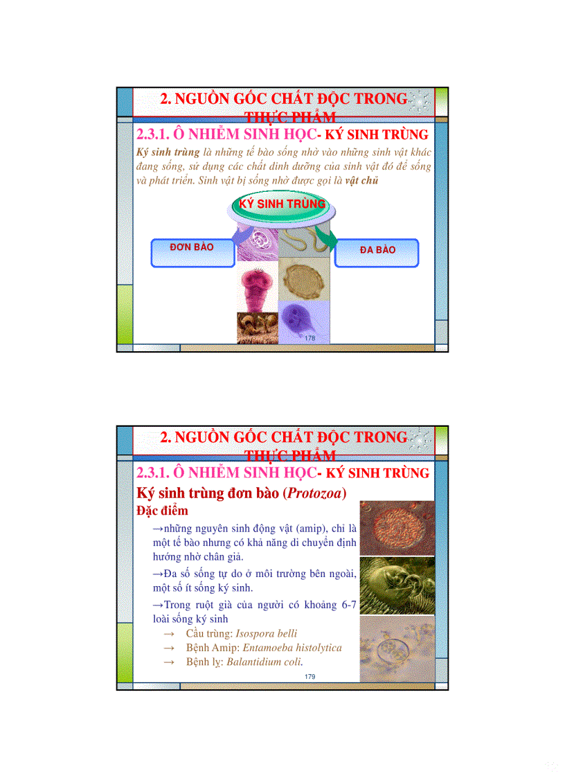 image for page Ve sinh an toan thuc pham bai giang buoi 4