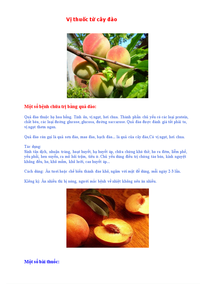 image for page Vị thuốc từ cây đào