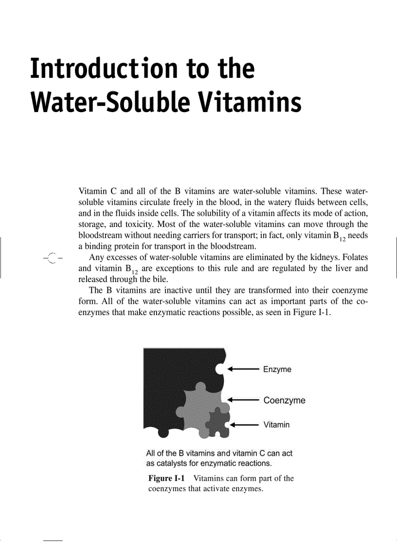 image for page Vitamin and natural