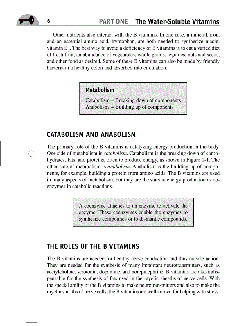 image for page Vitamin and natural