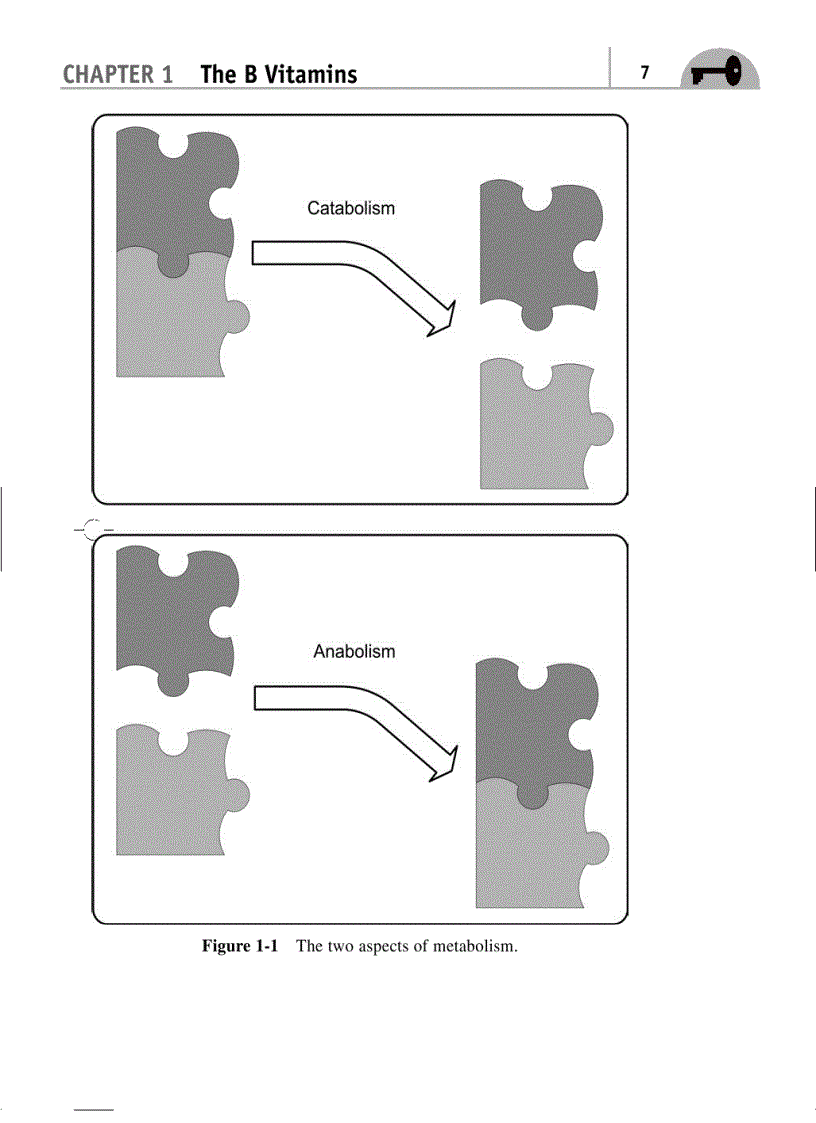 image for page Vitamin and natural