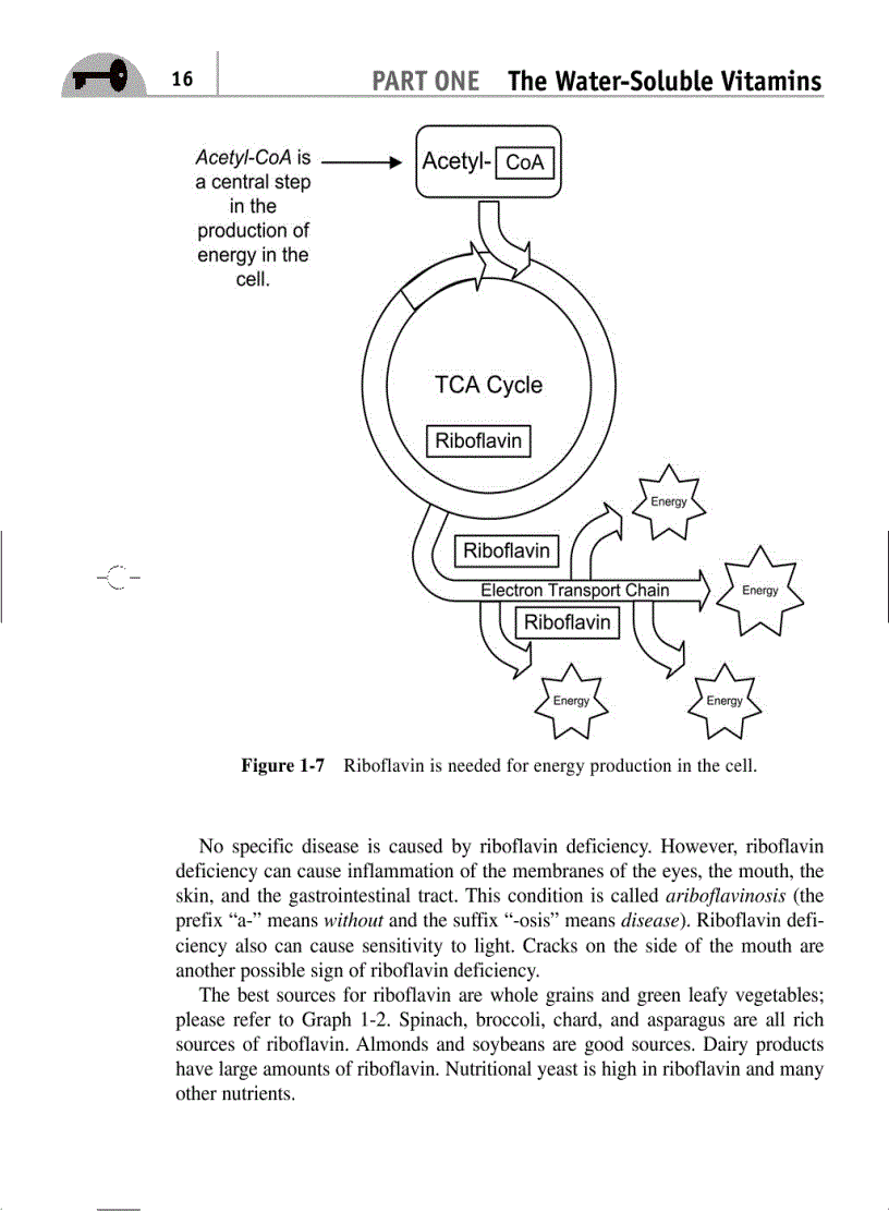 image for page Vitamin and natural
