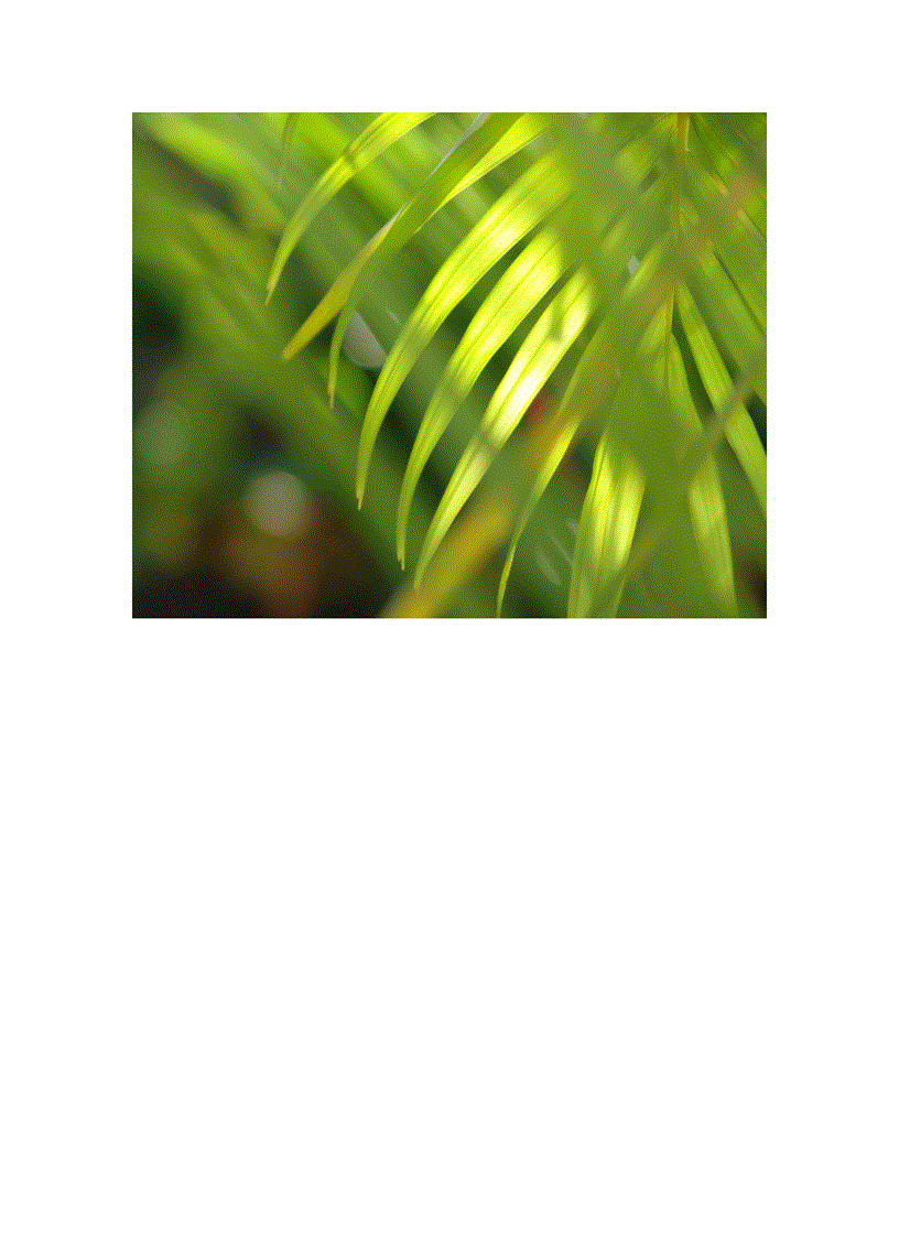 image for page Wallpaper