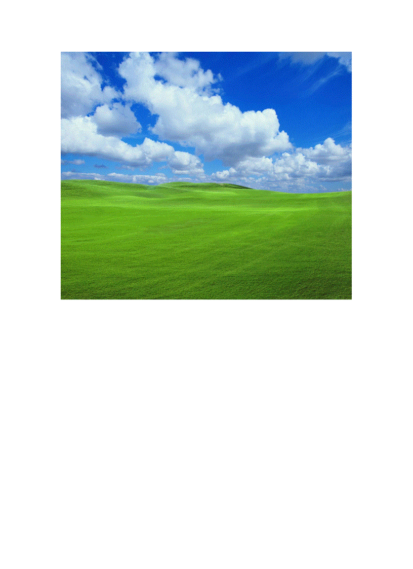 image for page Wallpaper