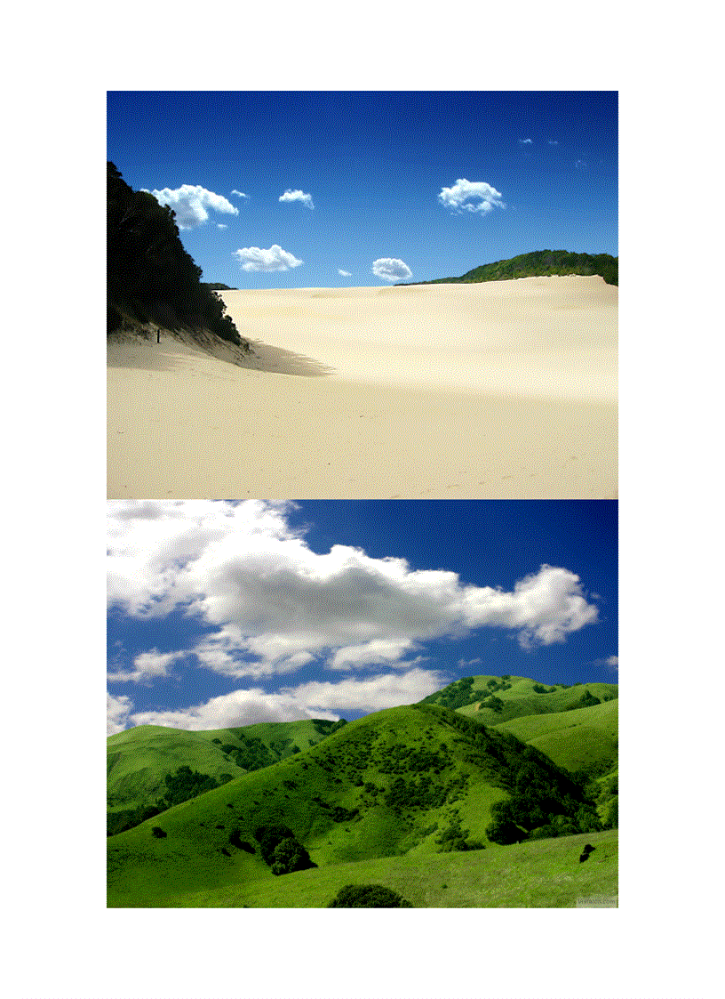 image for page Wallpaper