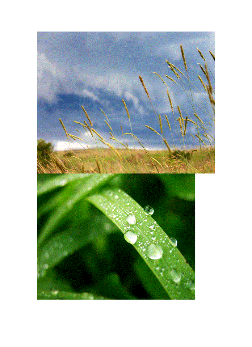 image for page Wallpaper