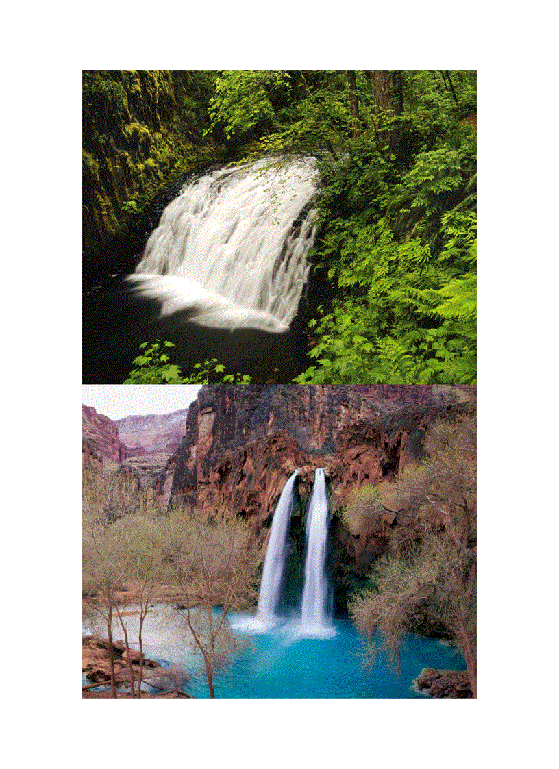 image for page Wallpaper