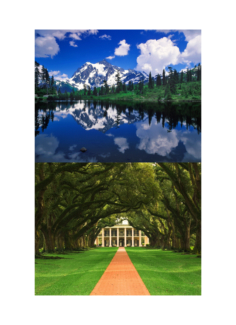 image for page Wallpaper