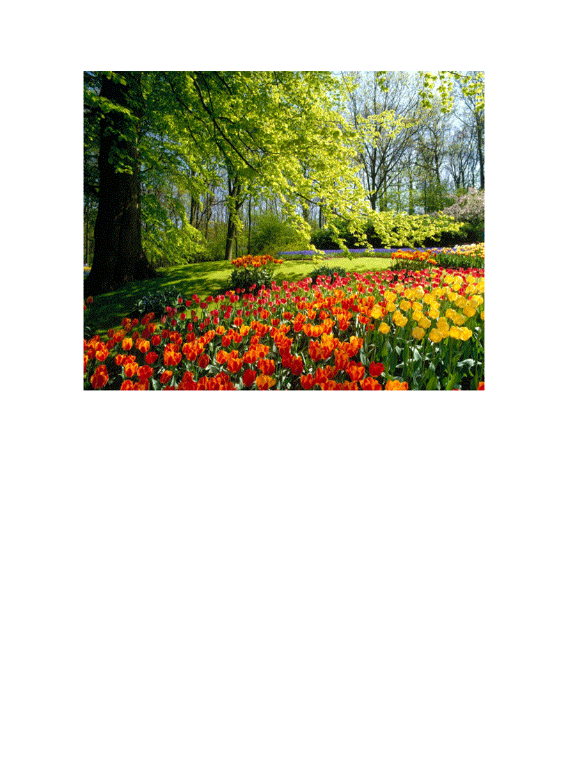 image for page Wallpaper