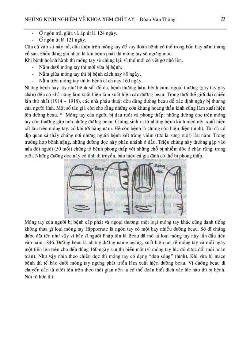 image for page Xem chỉ tay P1