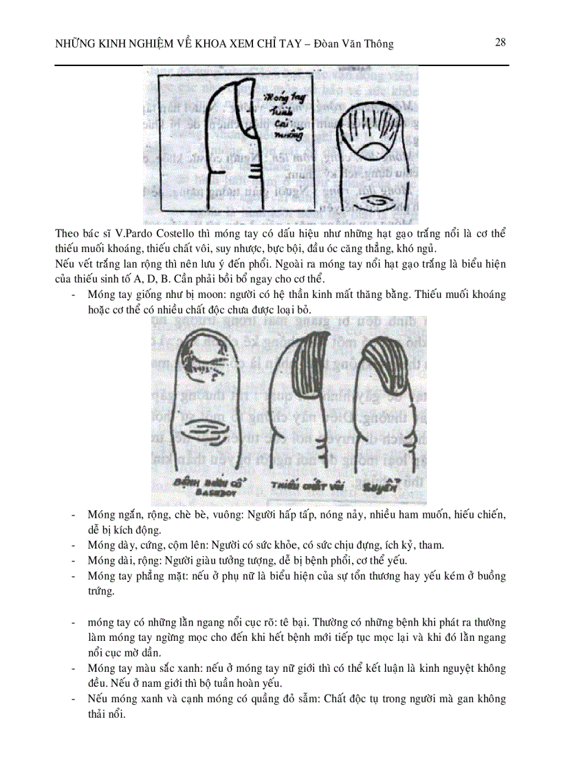image for page Xem chỉ tay P1