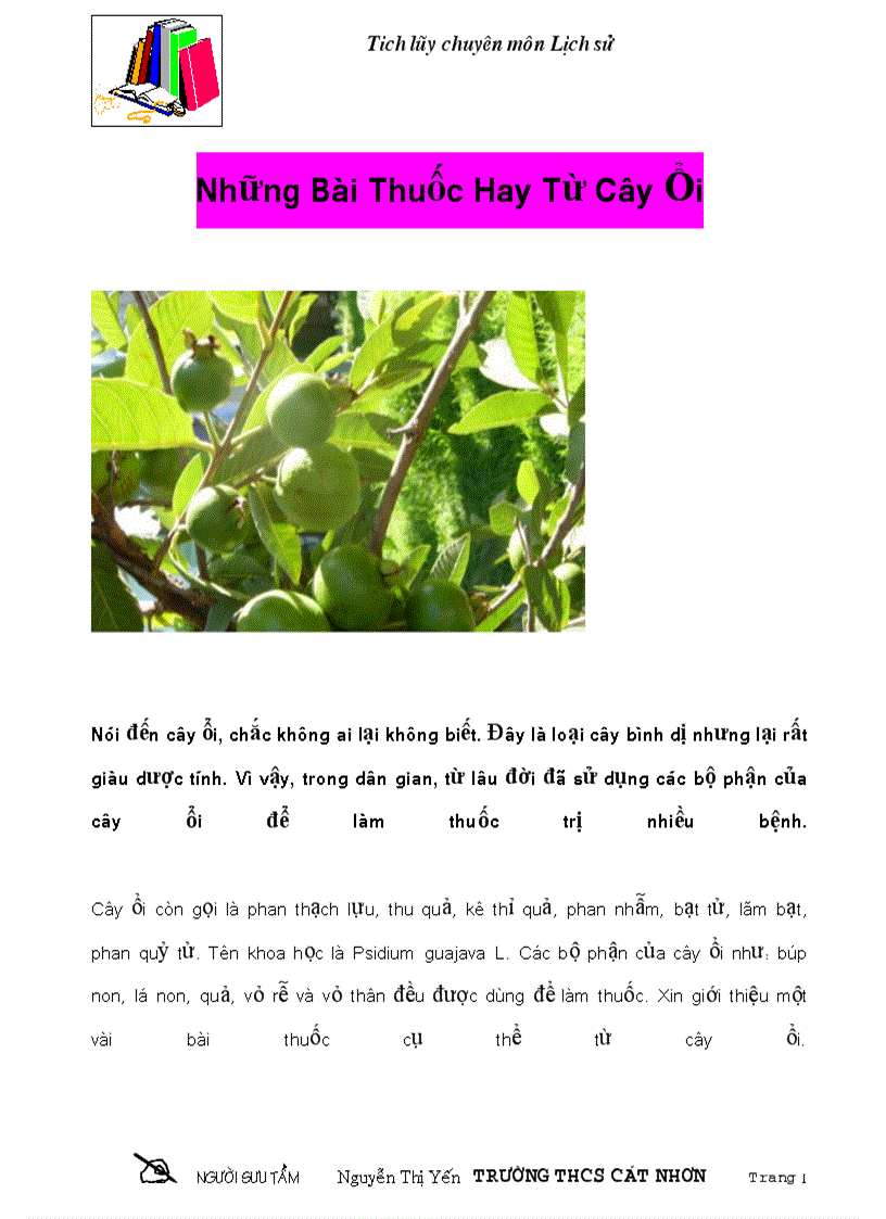 image for page Bài thuốc chữa bệnh đường ruột