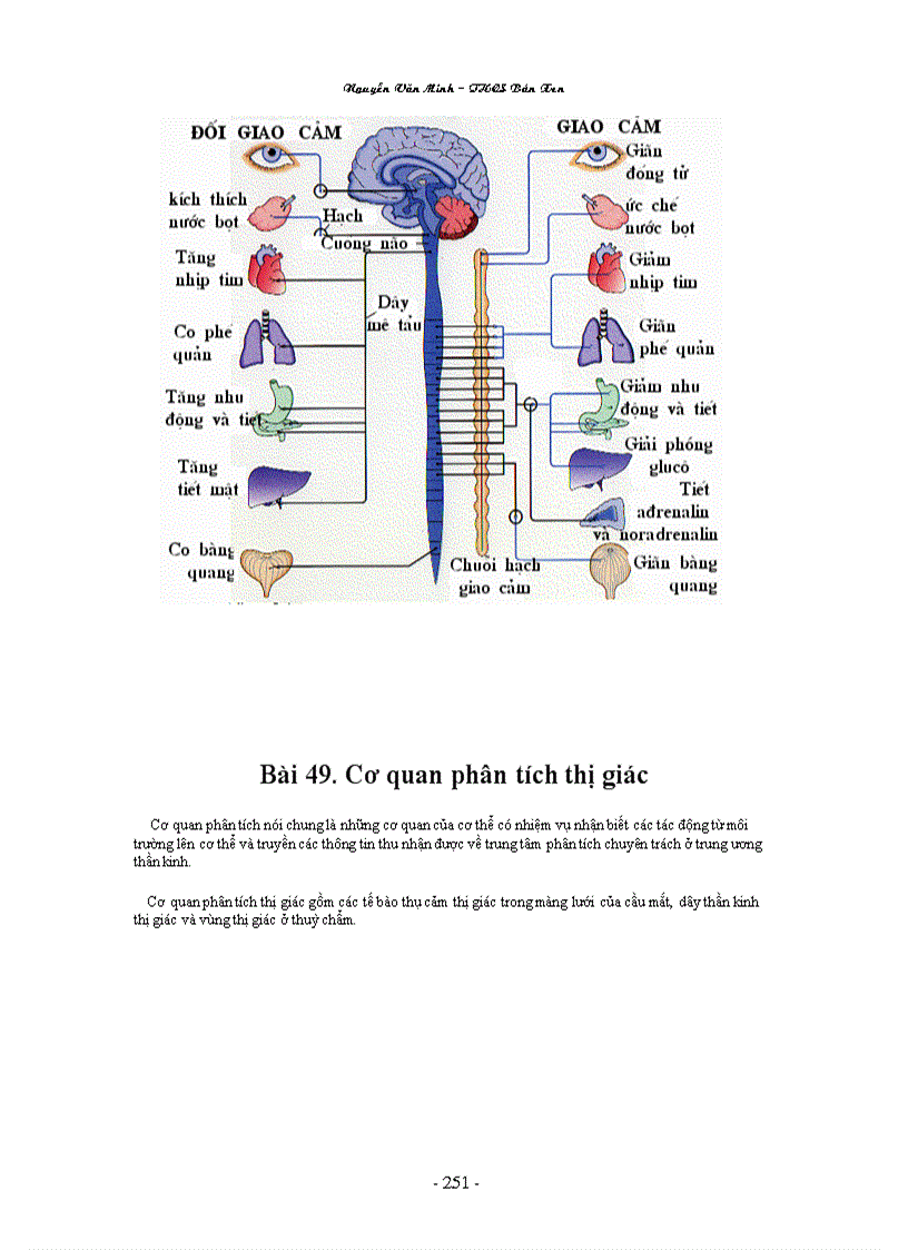 image for page Hinh anh Sinh Hoc 8