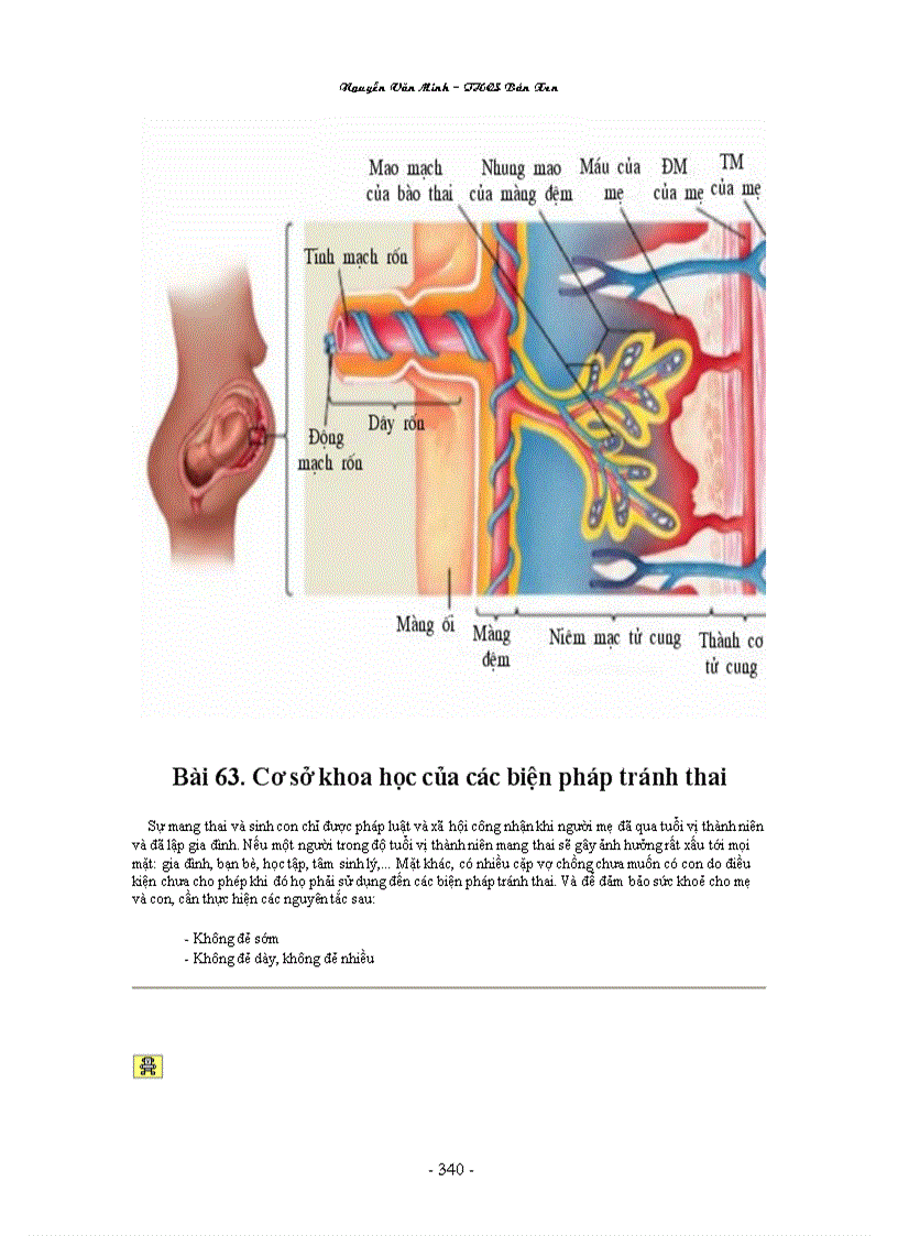 image for page Hinh anh Sinh Hoc 8