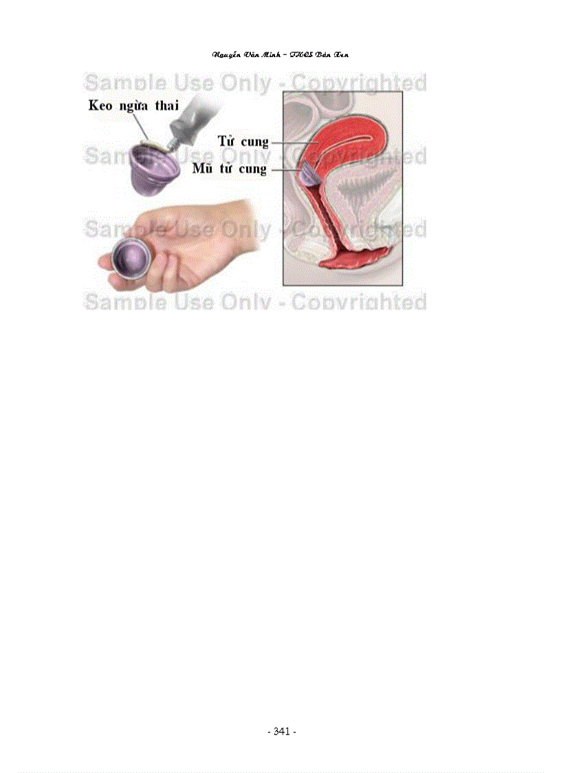 image for page Hinh anh Sinh Hoc 8