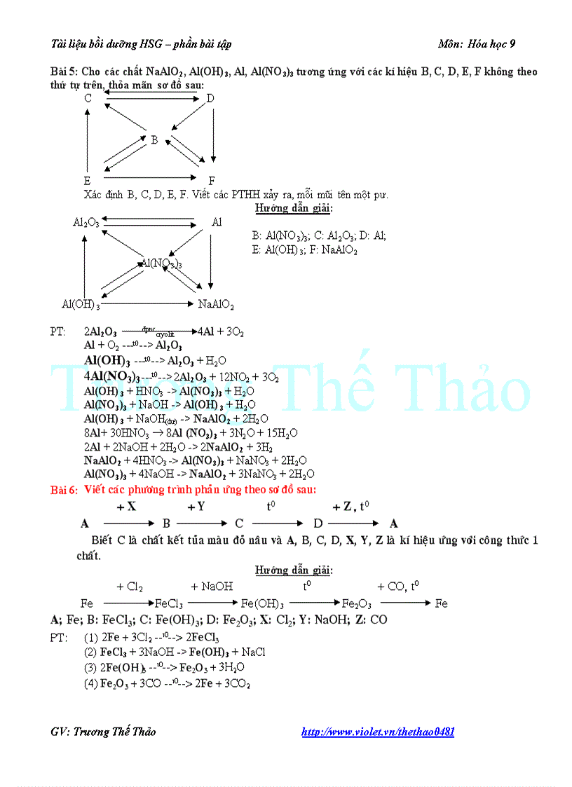 BD HSG chuyên đề PTHH