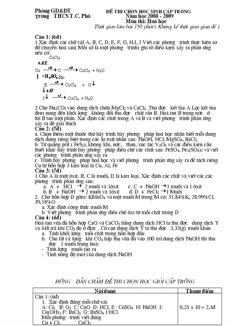 image for page Đề thi học sinh giỏi hóa học 9 năm 08 09