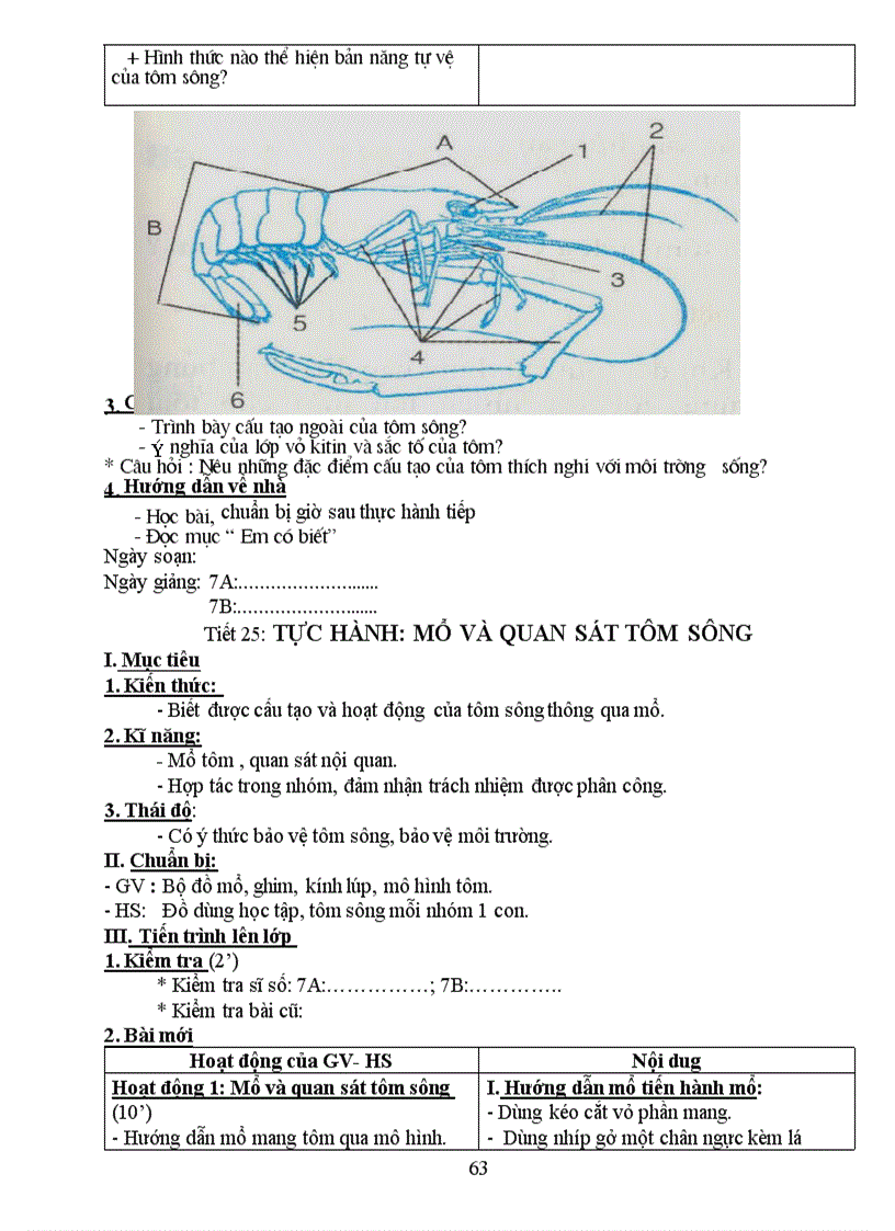 image for page Giao an sinh hoc 7