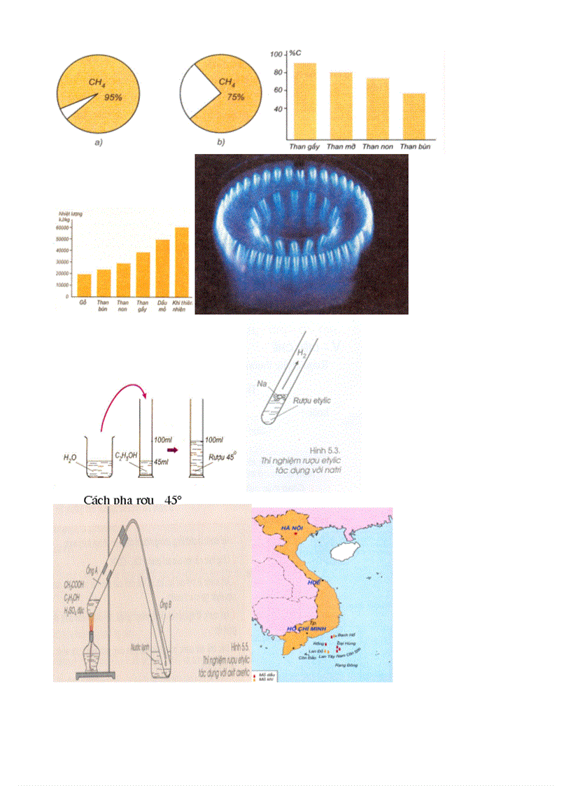 Hinh anh hoa 9 sgk p1