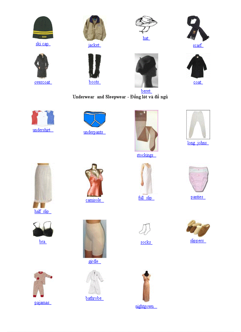 image for page Học từ vựng bằng hình ảnh 2010