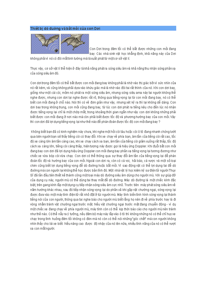 image for page Thiết bị dò đuờng và bắt mồi của con Dơi