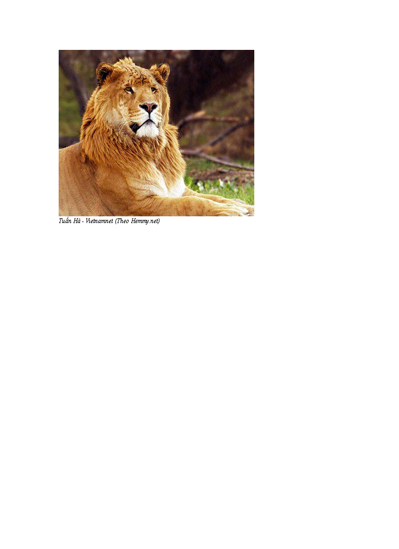 image for page Top 10 con vật kỳ lạ nhất thế giới