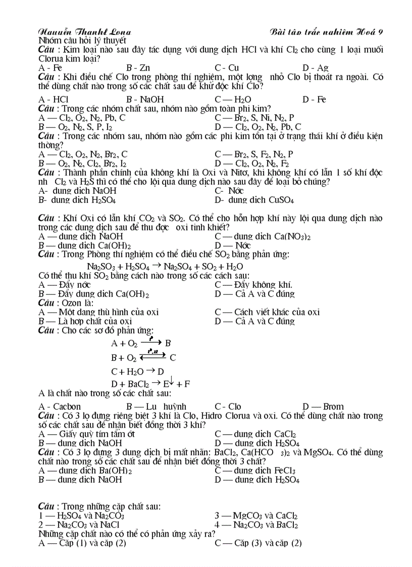 image for page Tracnghiem hao 9