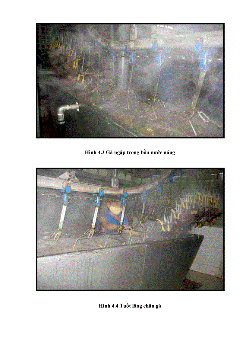 image for page Danh gia tac dong moi truong khi lam du an