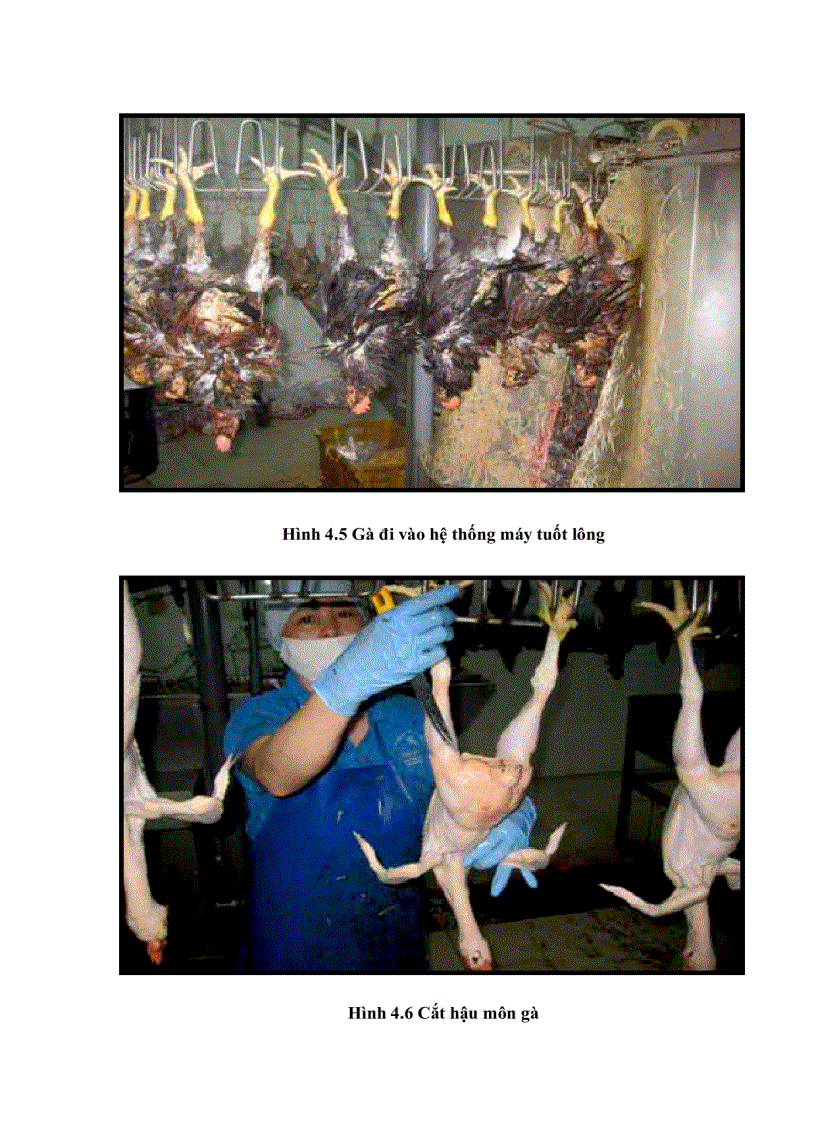 image for page Danh gia tac dong moi truong khi lam du an