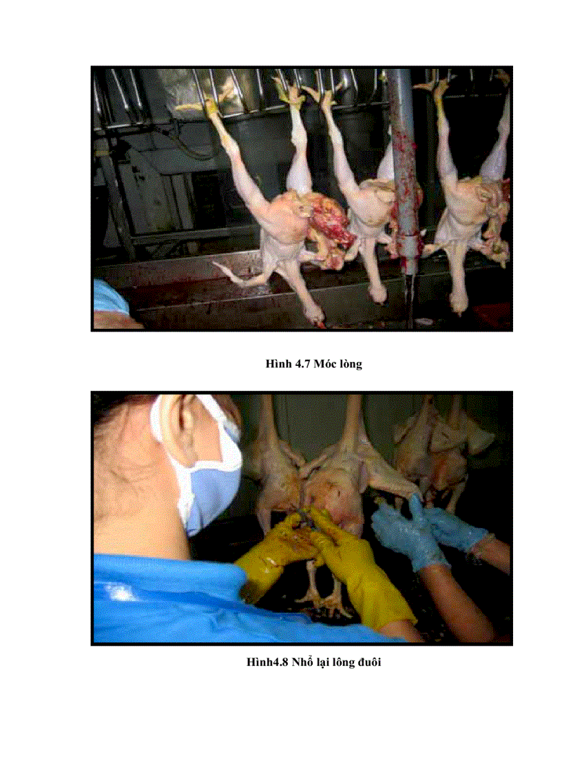 image for page Danh gia tac dong moi truong khi lam du an