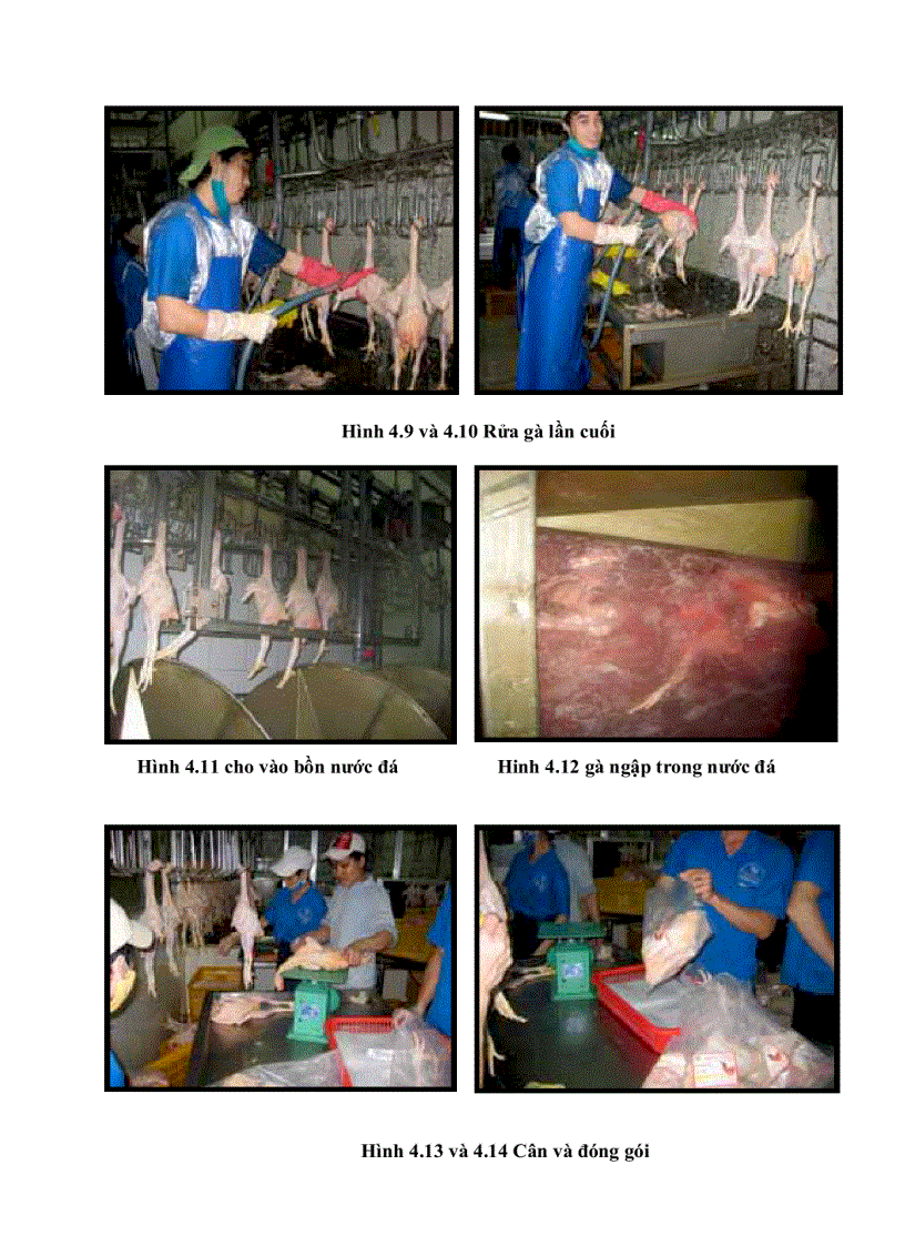 image for page Danh gia tac dong moi truong khi lam du an