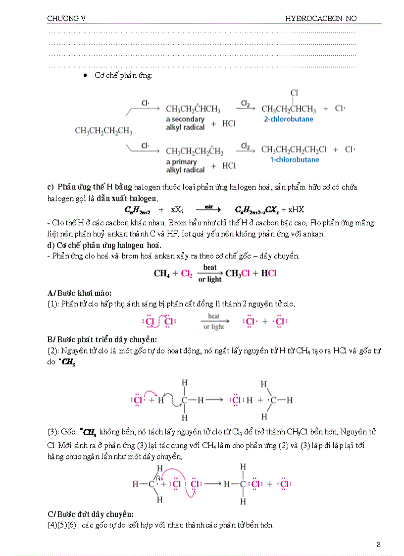 image for page Ankan xicloankan