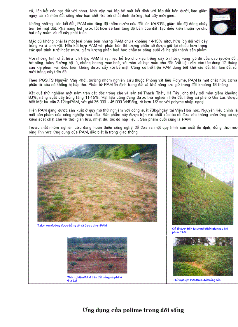 image for page Polime cuc hay mau tai ve