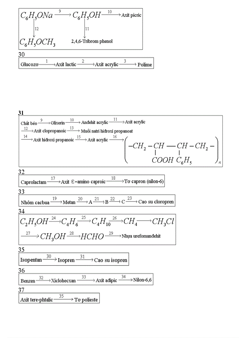 image for page SƠ ĐỒ CHUỖI PHẢN ỨNG HỮU CƠ phân2