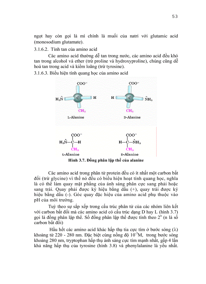 image for page Tìm hiểu về protein